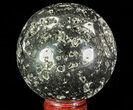 Polished Pyrite Sphere - Peru #65120-1